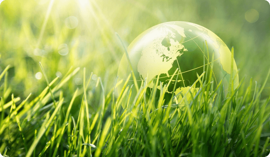 A globe in the grass with sunlight coming through.